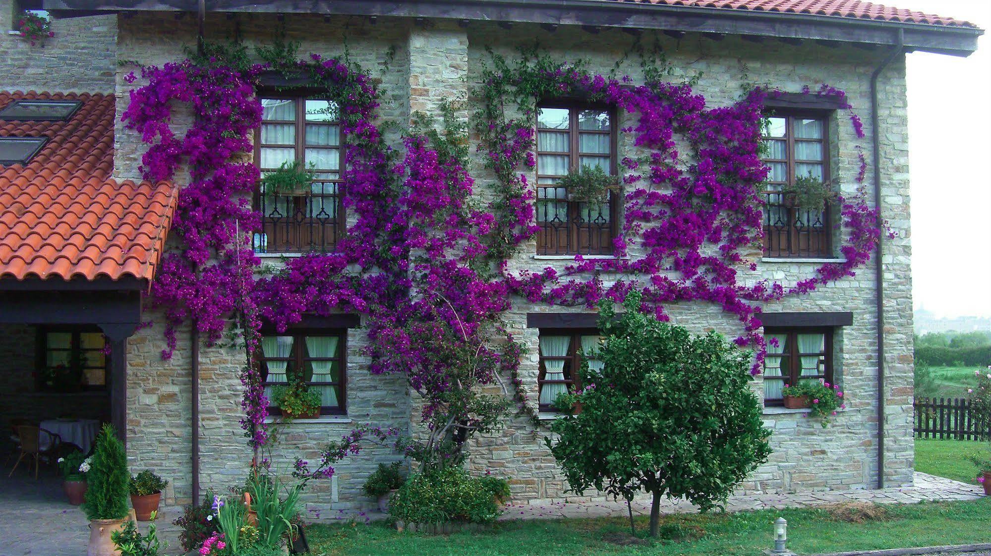 Hotel Rural Casona De Cefontes Ngoại thất bức ảnh